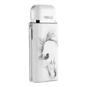 Armaf Caballo Pour Homme EDP за мъже